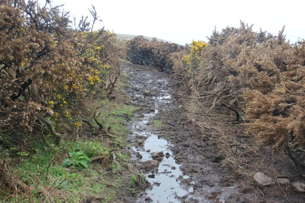 Muddy path Geoff Jones
