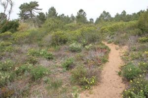 Cliff top nature reserve