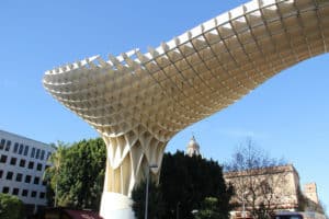 Seville mushroom